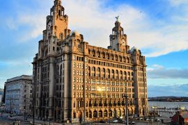 liver building